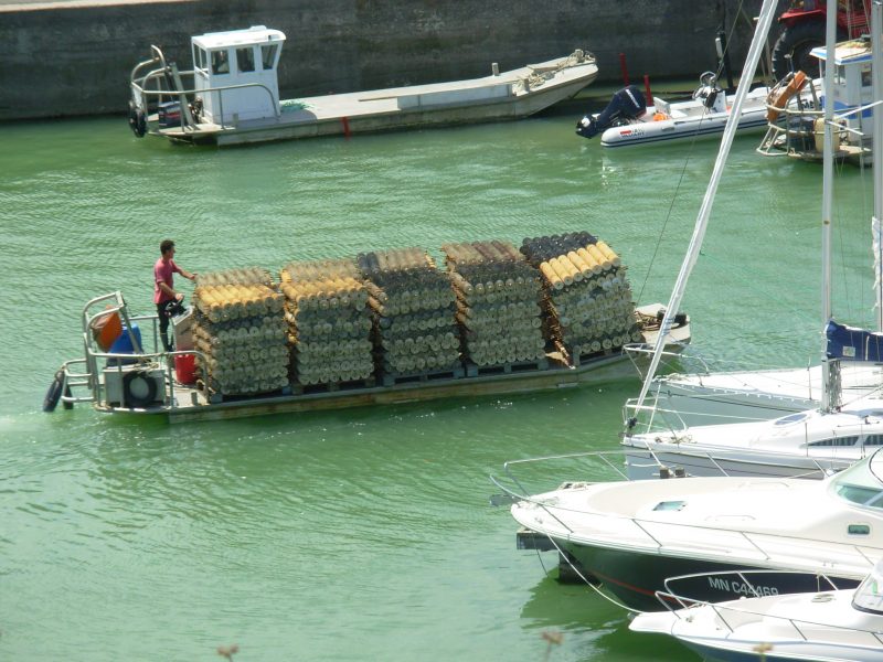 Barges à huîtres - Île d'Oléron